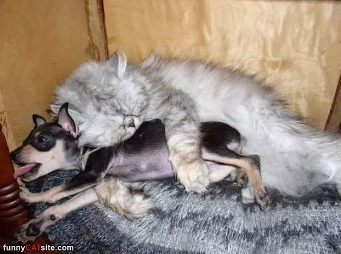 Hugging It Out