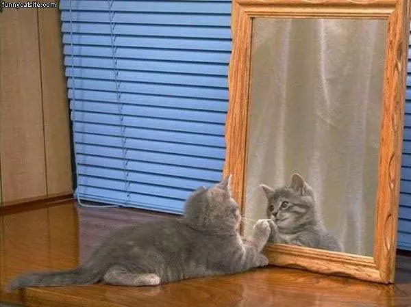 Hey Its Me