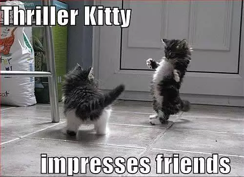 Thriller Kitty