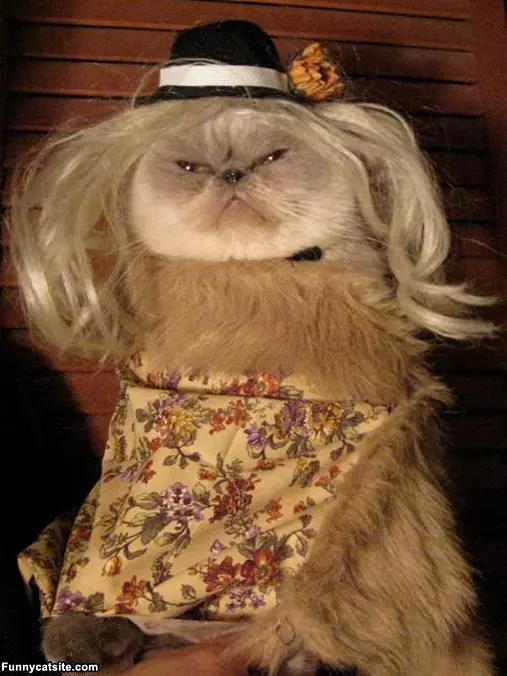 Nice Costume