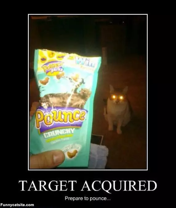 Target Aquired