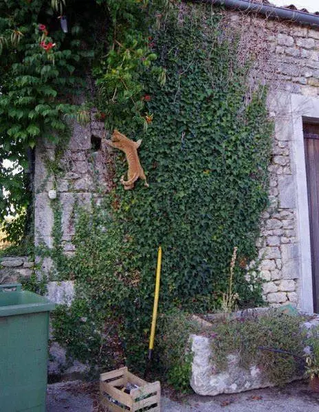 Climbing A Bit Here