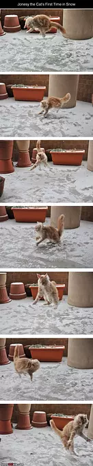 First Time In Snow