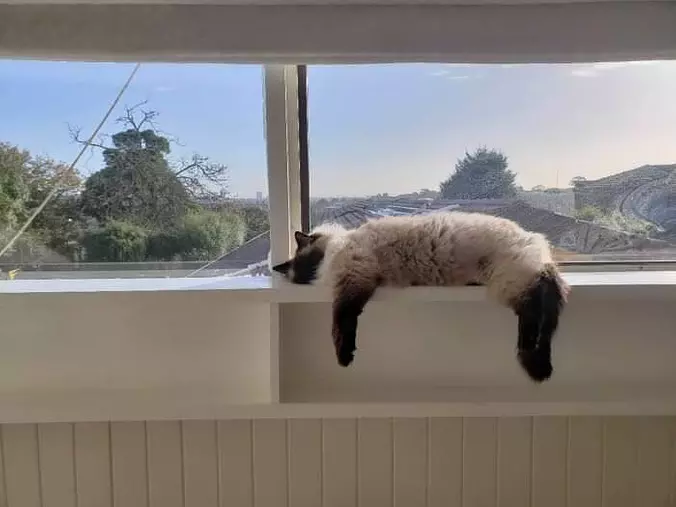 Nice Place For A Nap