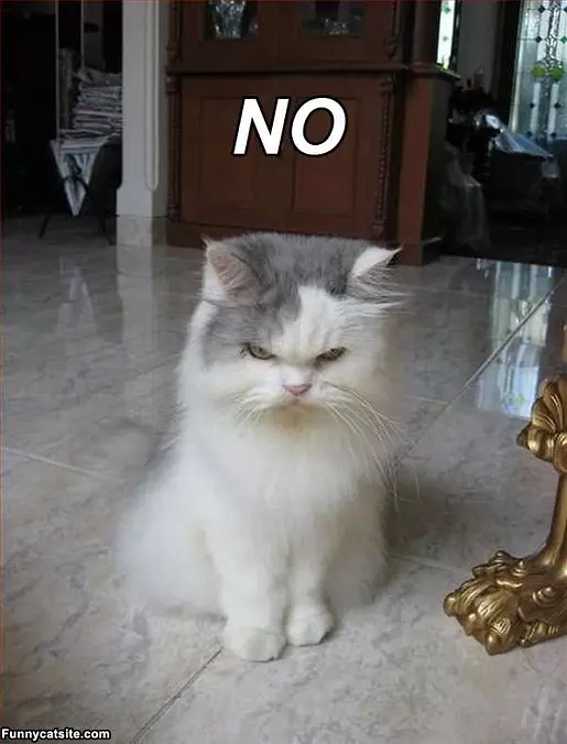 No