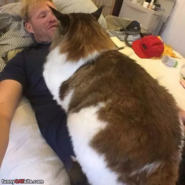 This Is My Bed Now