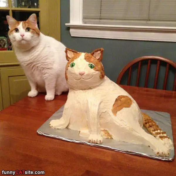 A Cake Of Me
