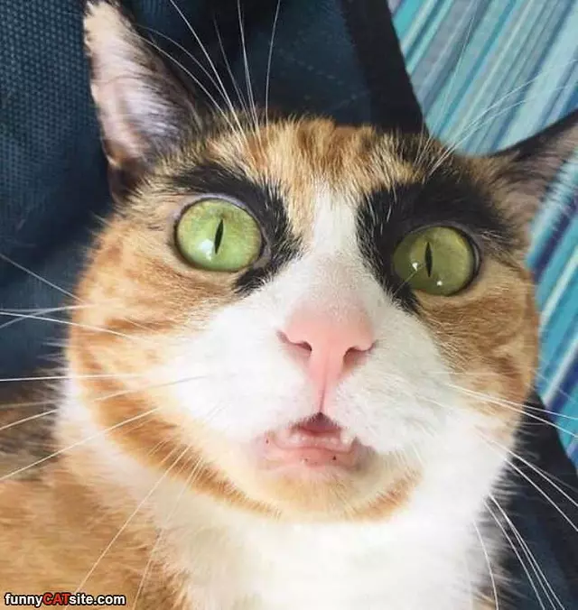 Super Duper Closeup