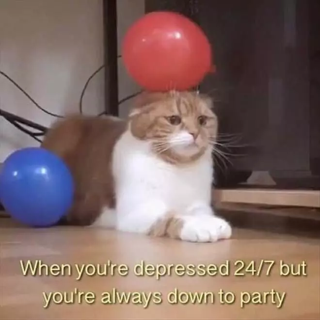 Always Down To Party