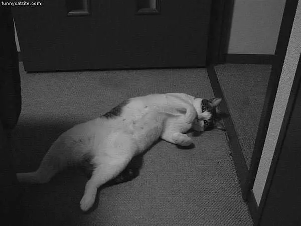 Sleep Anytime Anywhere