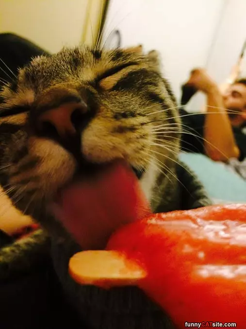 Can I Have A Lick
