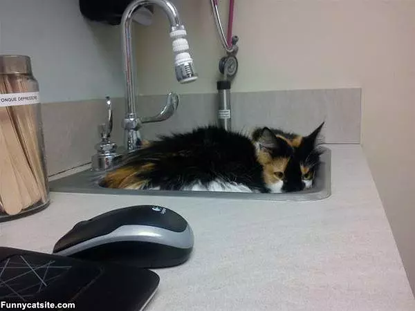 I Used To Fit