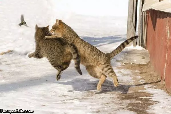 Run For It Together