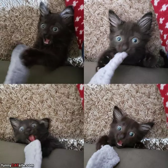 Play Time