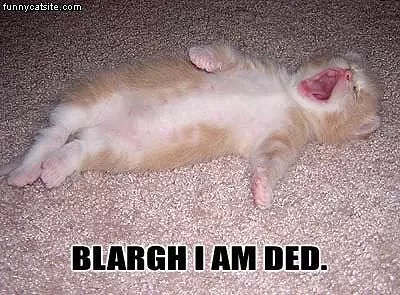 Blarg