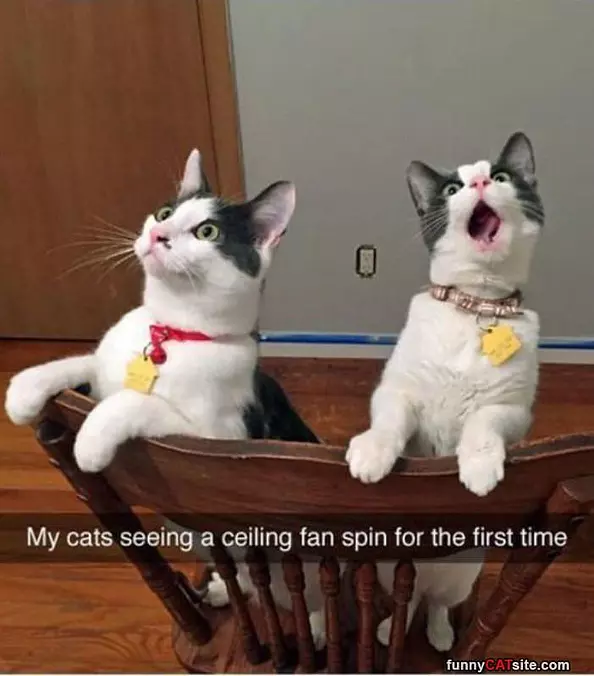It Spins So Awesome