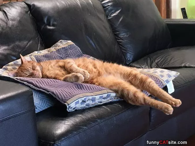 So So Sleepy