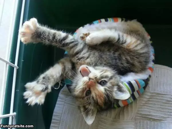 Pretty Relaxed Today