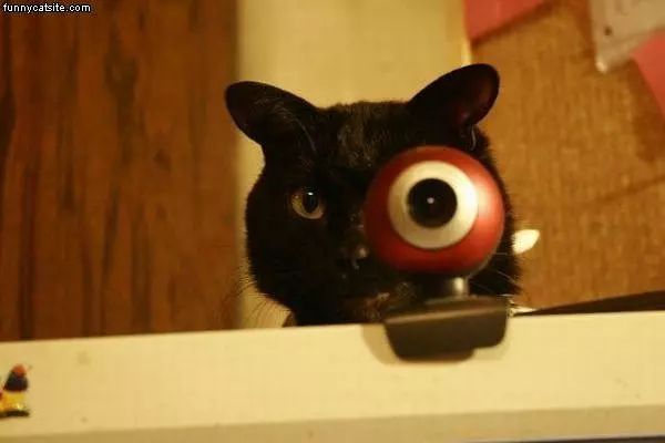 Big Eye