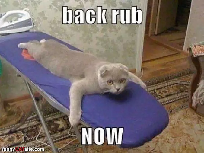 Back Rub Now