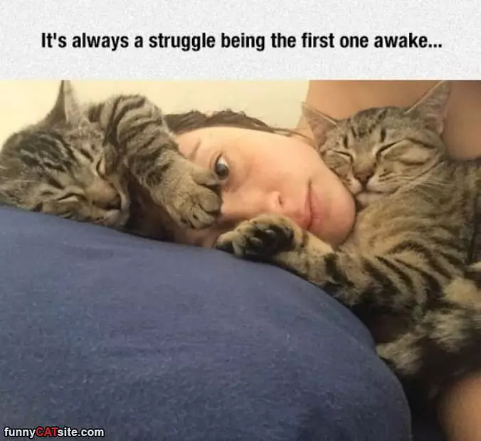 Always A Struggle