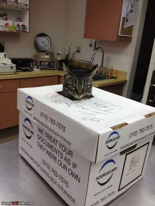 This Is A Good Box