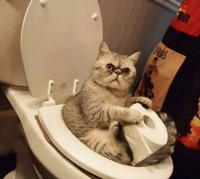 Privacy Please
