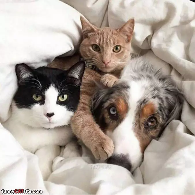Cuddling Up Here Together