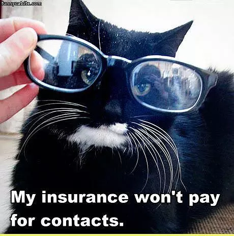 Insurance