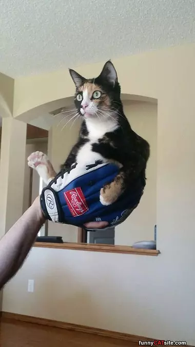 I Am Not A Baseball