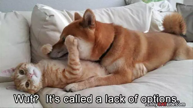Lack Of Options
