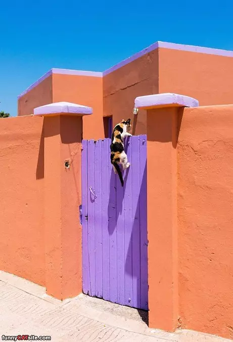 Jumping It