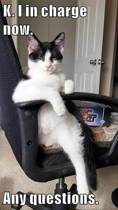 I Am In Charge Now
