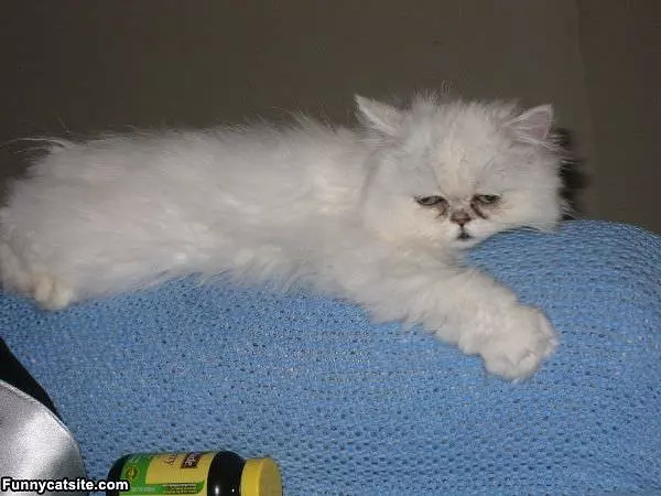 I Tired