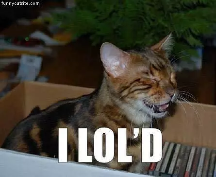 Cat Lold