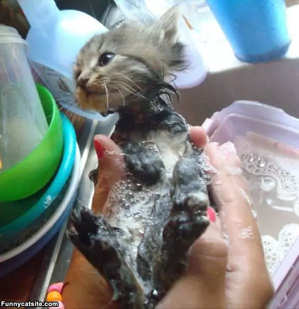 I Gots A Bath