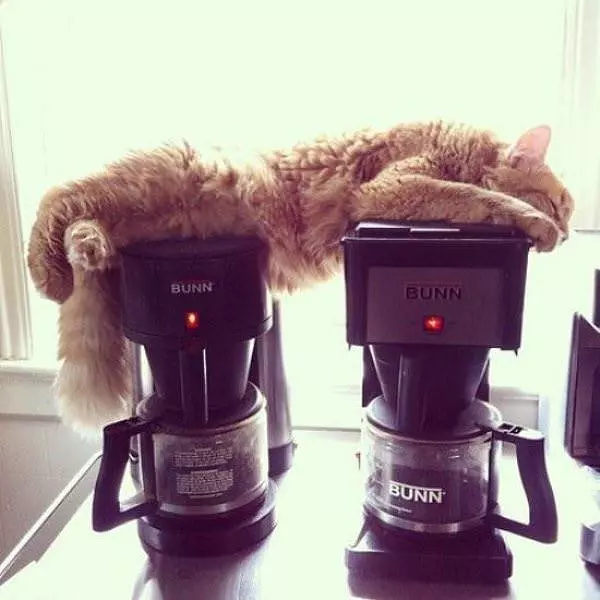 Warm Coffee Machines