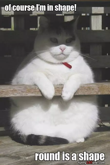 I Am In Shape