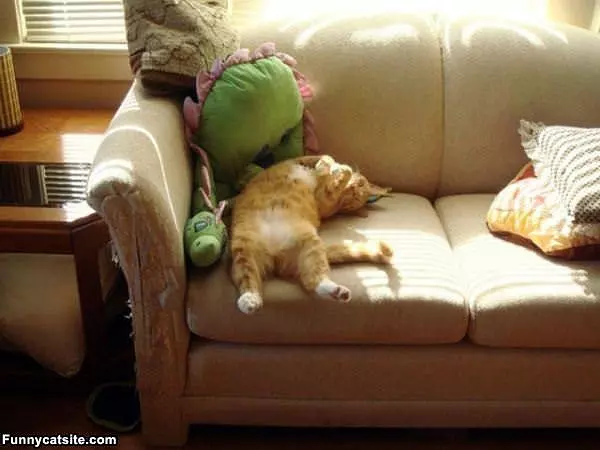 Super Lazy Day Today