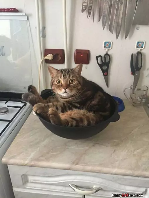 A Bowl