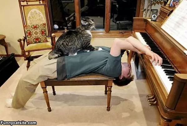 Playing Piano