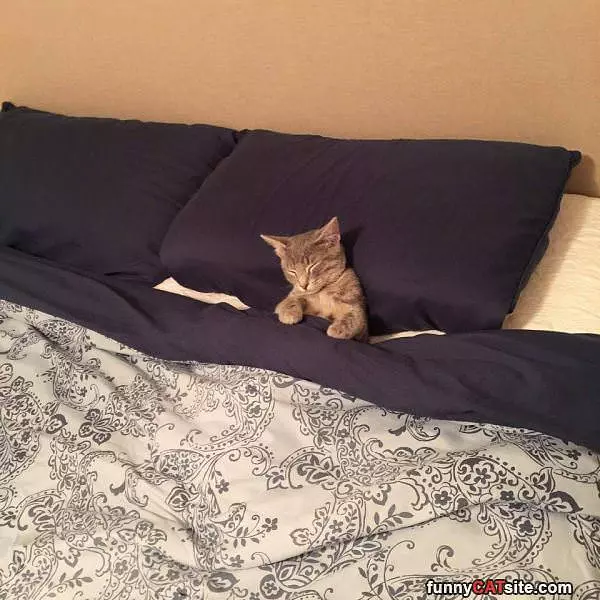 All Tucked In For Bed