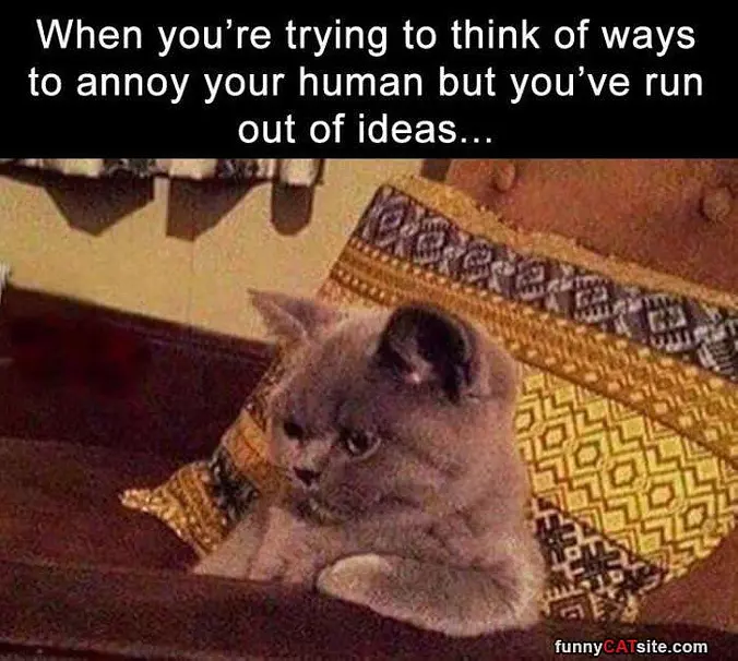 Out Of Ideas