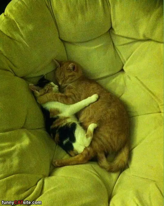 Nap Time Together