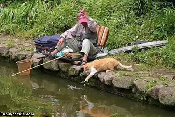 Gone Fishing