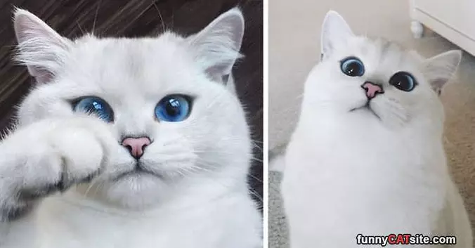 Blue Eyes