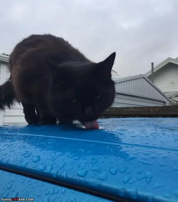 Thirsty