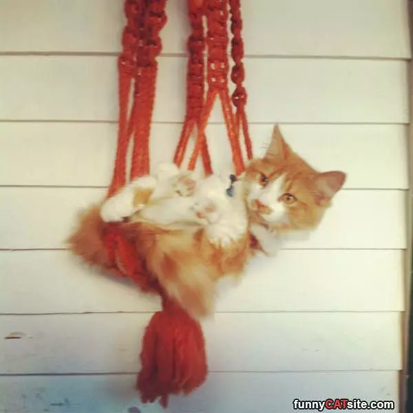 Hanging Around Here A Bit