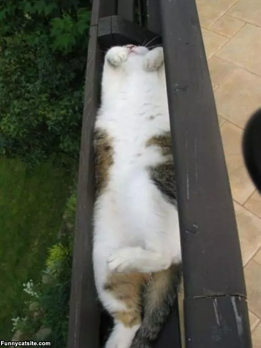 Sleep Where I Want