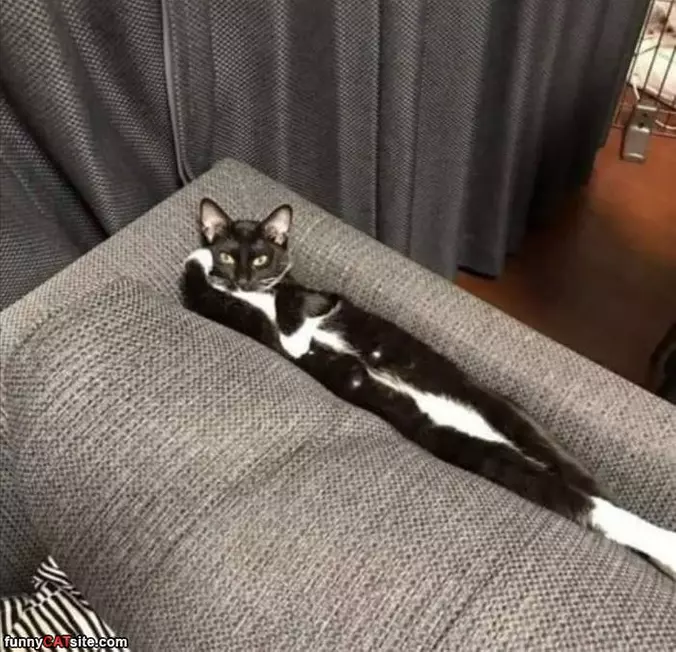 Relaxed Here